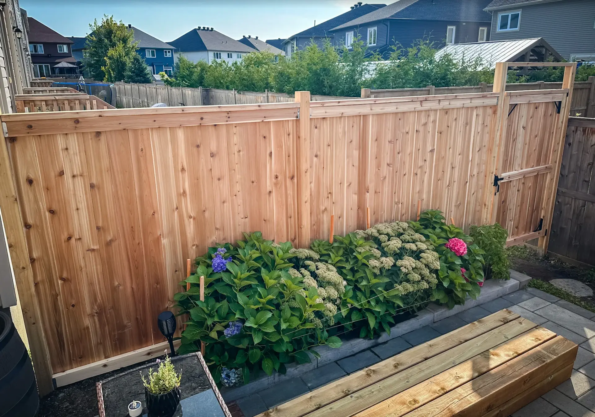 Cedar privacy fence with matching gate enclosing a small Ottawa townhouse backyard with hydrangea garden beds
