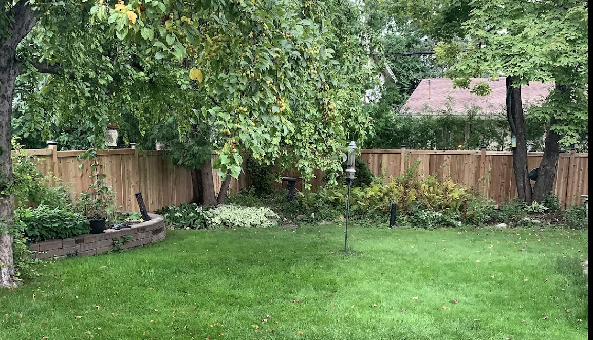 Custom cedar wood privacy fence along an Ottawa backyard with mature trees and garden beds